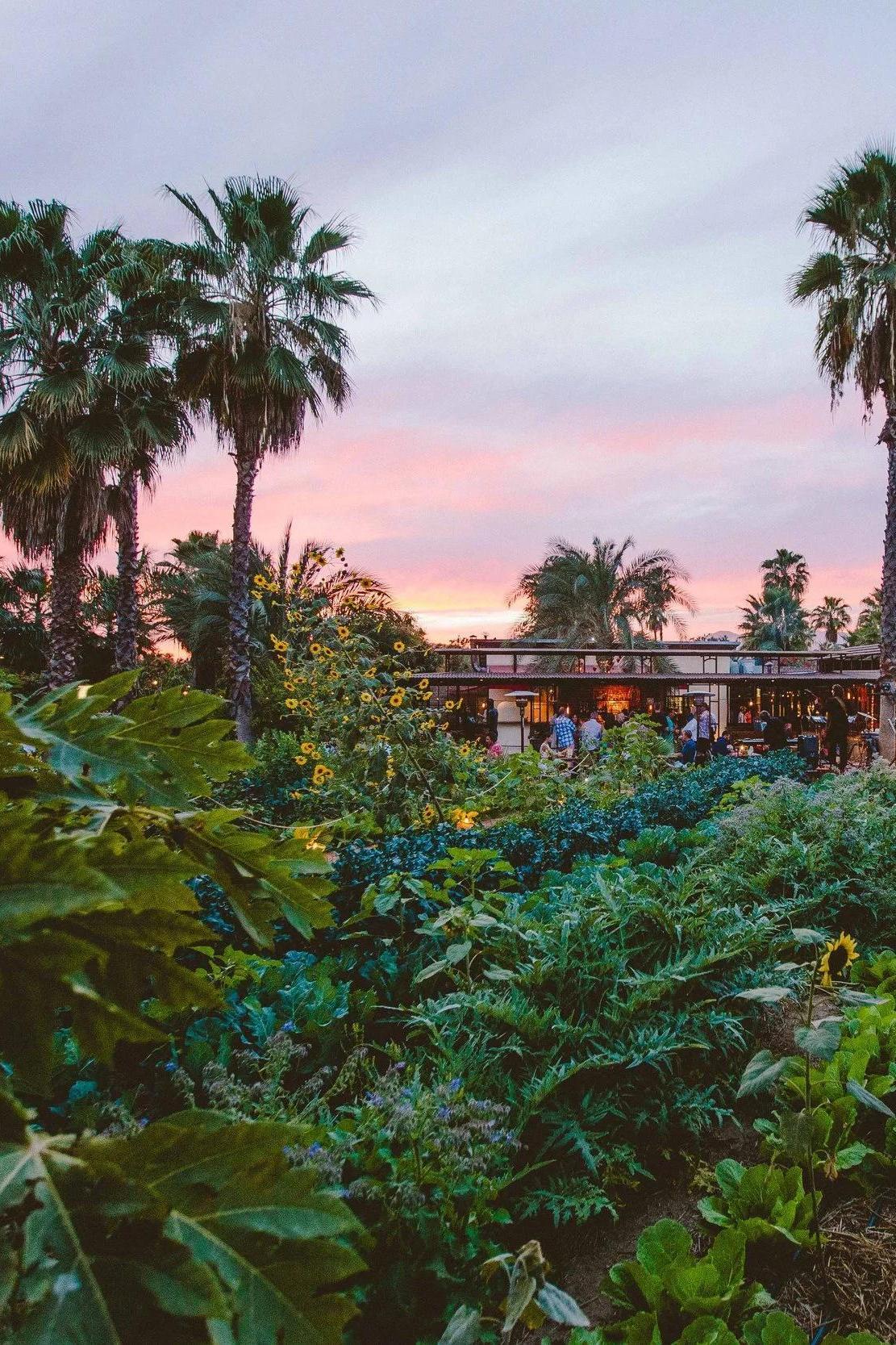Flora Farms