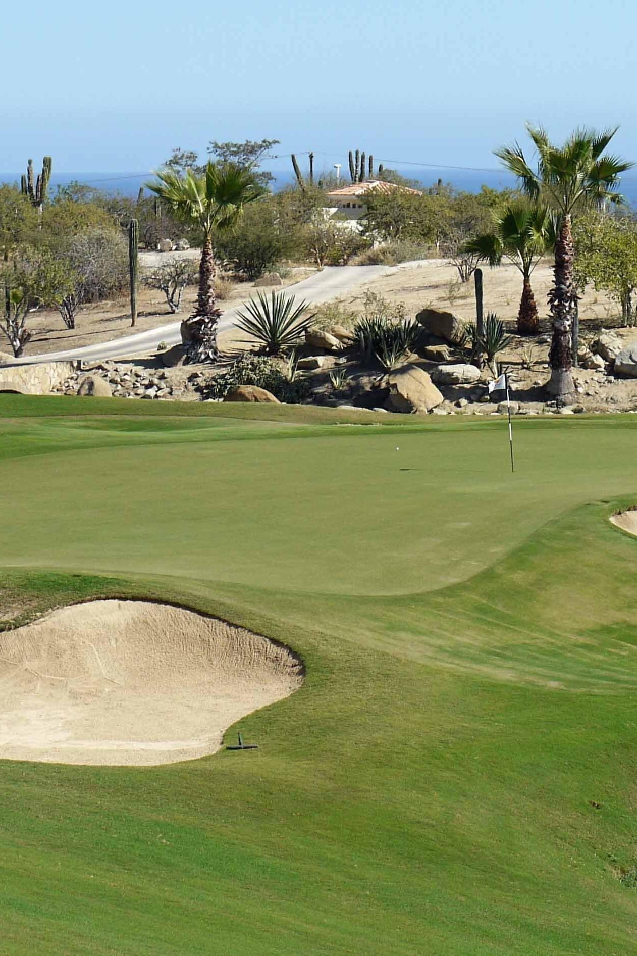 Cabo del Sol Golf Club